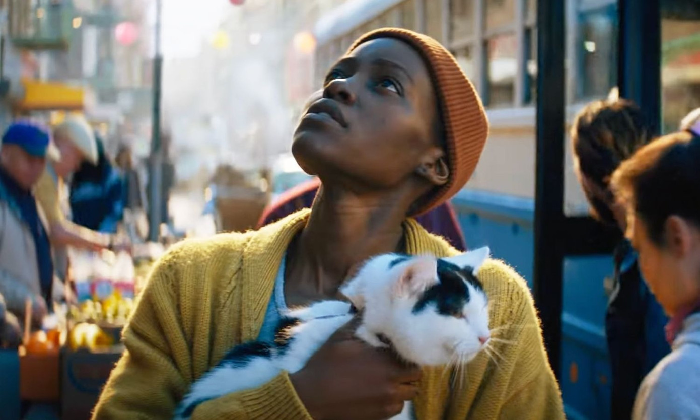 Sam chỉ biết mang theo mèo cưng đi trốn. Sam chỉ biết mang theo mèo cưng đi trốn.