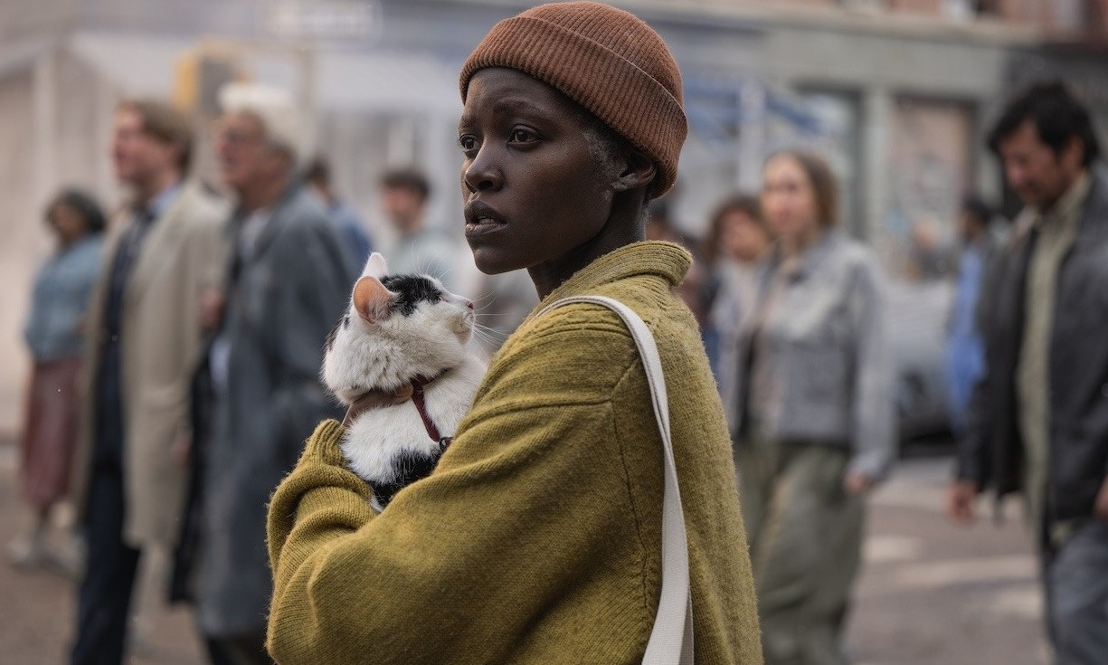 Sam chỉ muốn bảo vệ mèo cưng của mình. Sam chỉ muốn bảo vệ mèo cưng của mình.