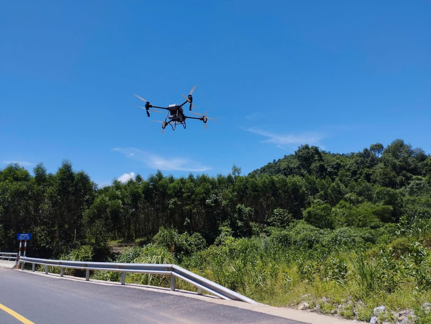 Cơ quan chức năng dùng máy bay không người lái để phun thuốc diệt trừ.