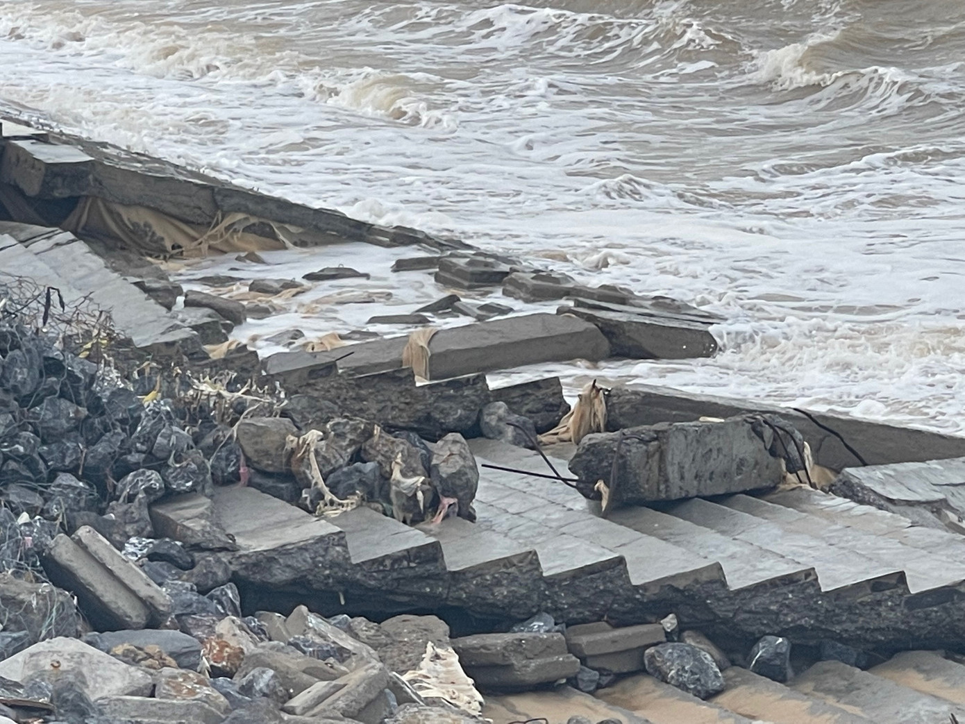 Các chuyên gia cho rằng, cần xây dựng đê ngầm để giảm sóng từ xa.