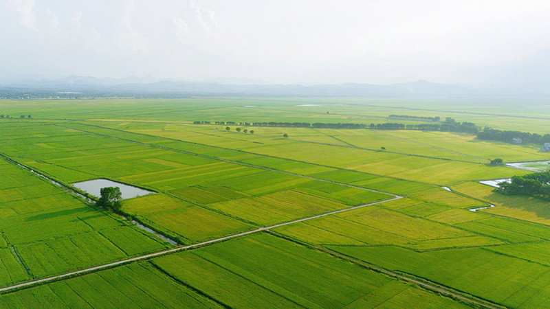 Cán bộ luân chuyển về huyện phải tiếp ở lại làm lãnh đạo chủ chốt cấp xã sau sáp nhập.