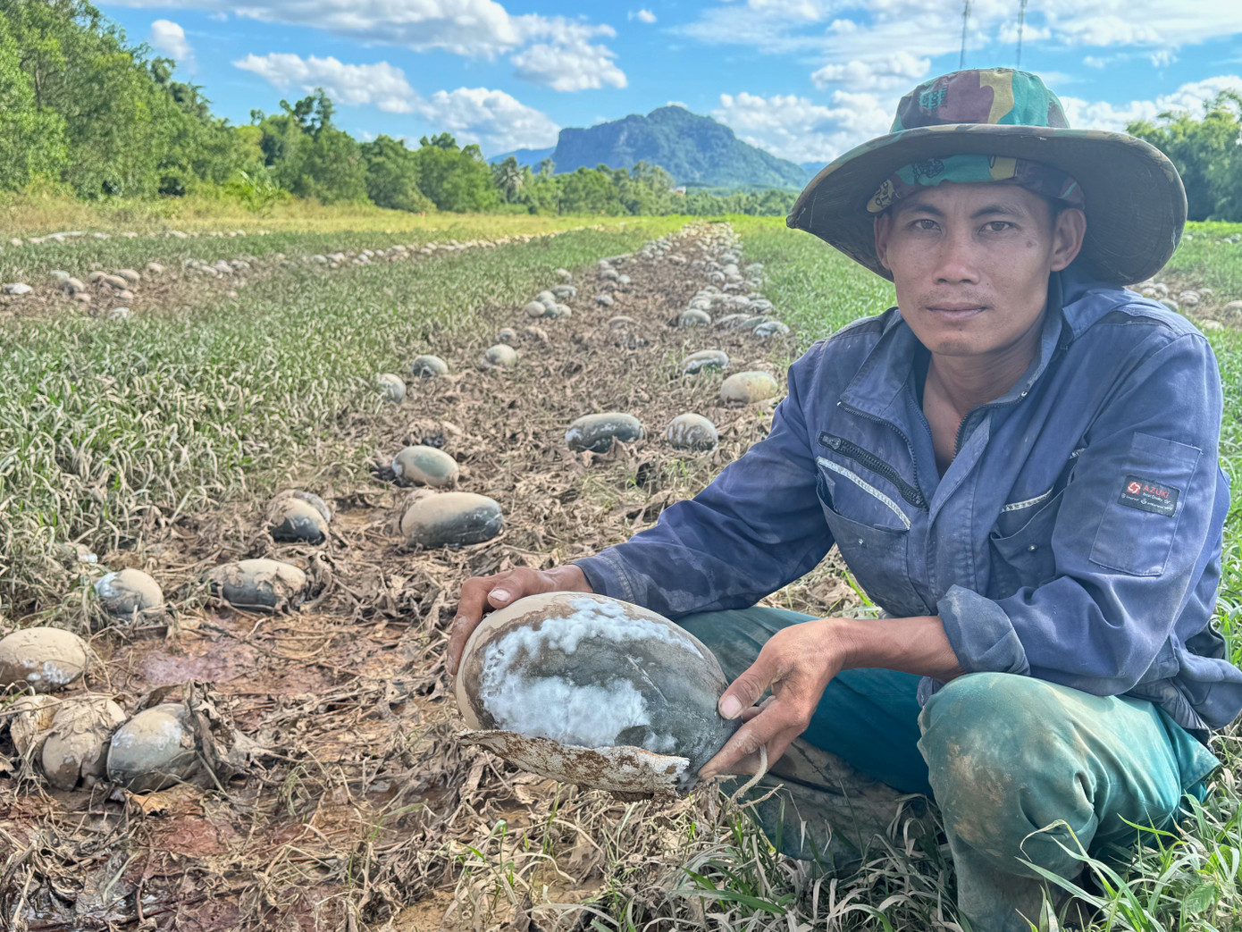 Sau 2 vụ dưa hấu thất bại, gia đình Tuấn đang ôm nợ nần chồng chất. Sau 2 vụ dưa hấu thất bại, gia đình Tuấn đang ôm nợ nần chồng chất.