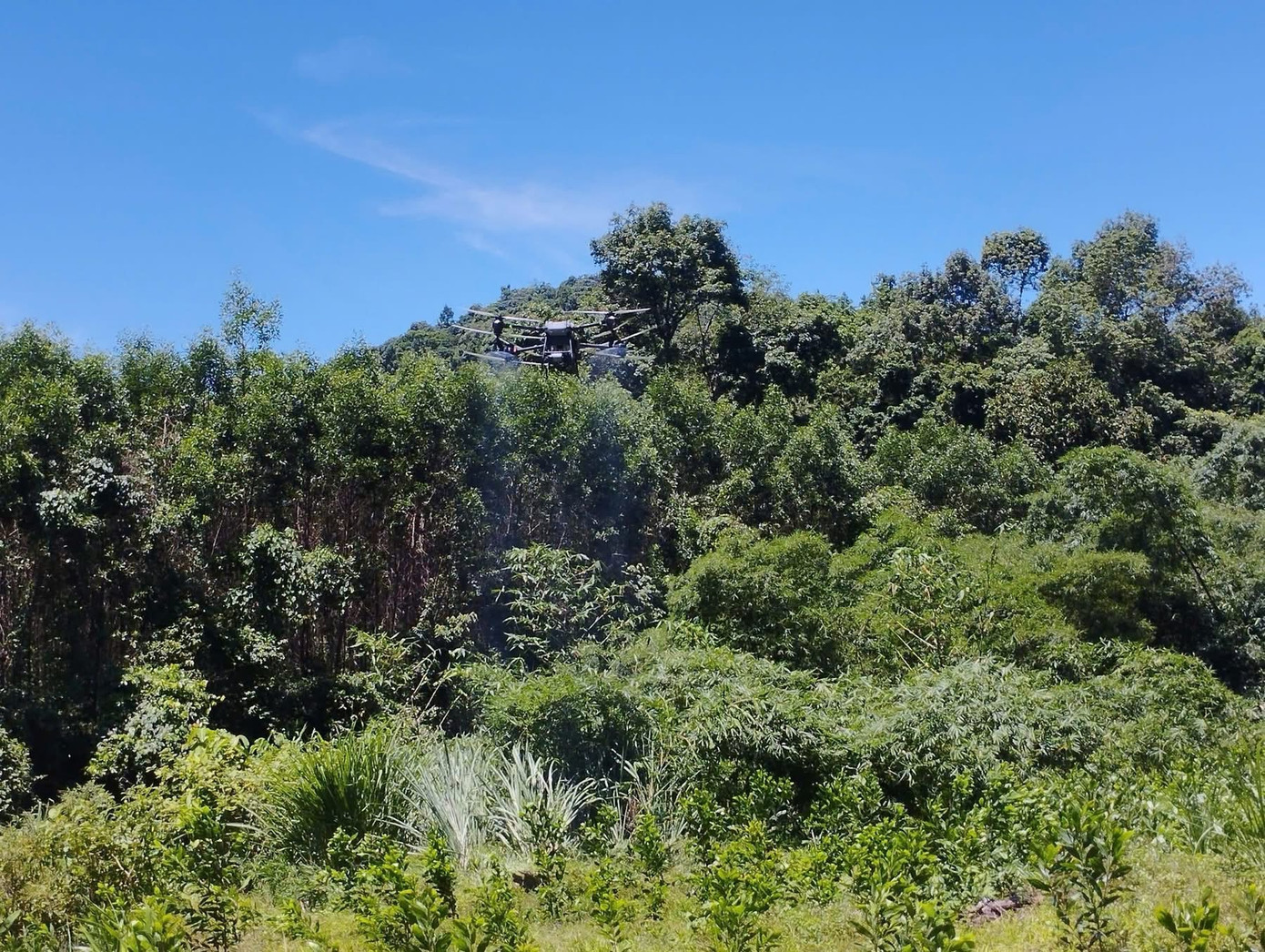 Hi vọng giải pháp này sẽ mang lại hiệu quả, bảo vệ mùa màng cho người dân.