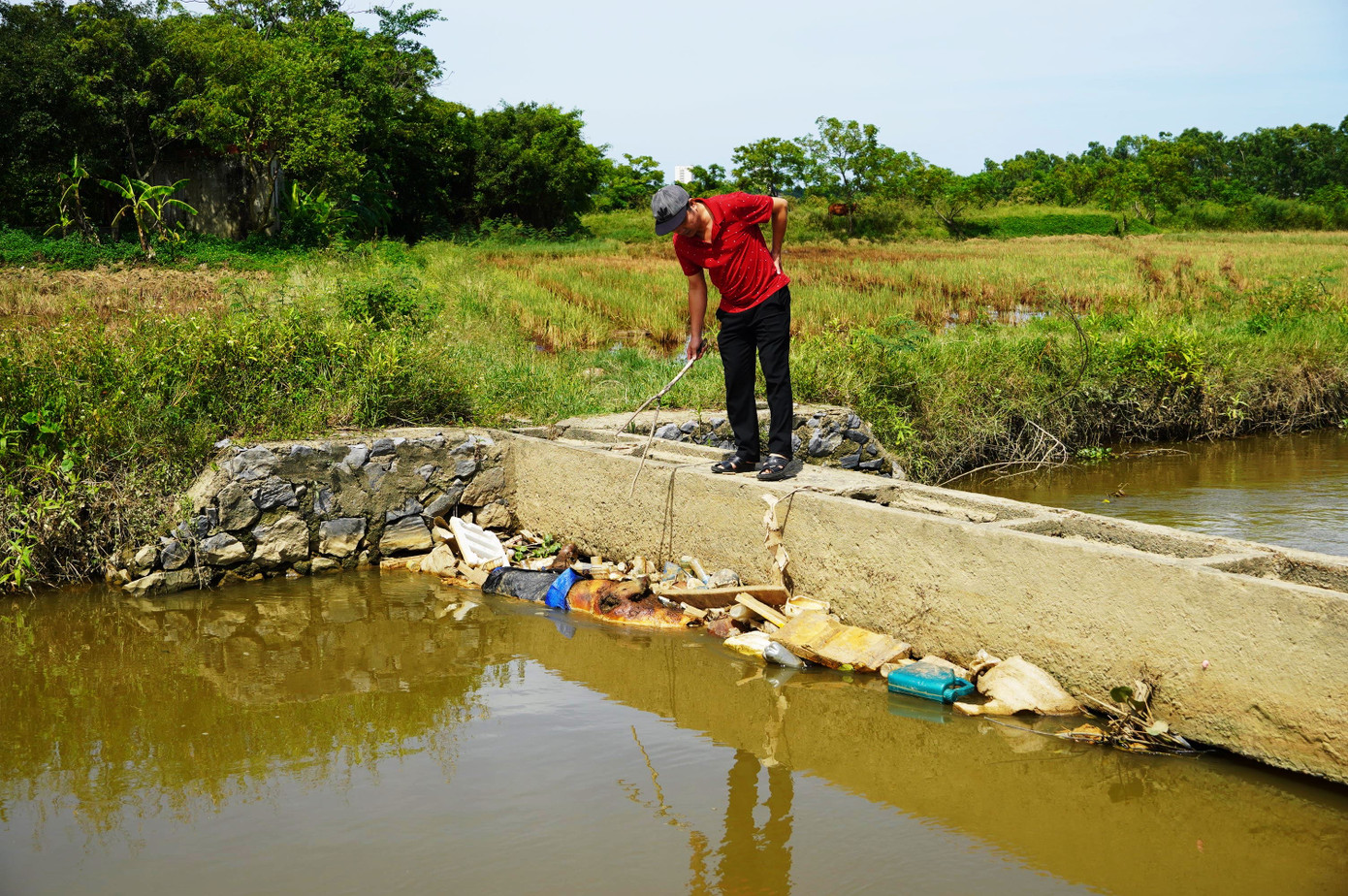 Xác lợn chết vứt ở kênh mương TP. Đồng Hới.