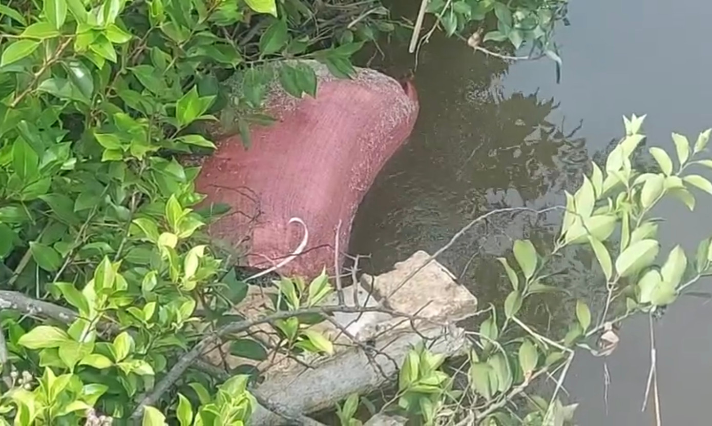 Mùi xú uế xông lên nồng nặc, gây ô nhiễm môi trường.