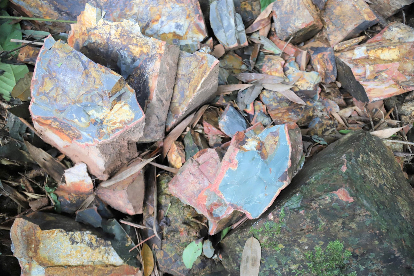 Ngọc bích xuất hiện dày đặc ở xã Ngân Thủy, huyện Lệ Thủy. Ngọc bích xuất hiện dày đặc ở xã Ngân Thủy, huyện Lệ Thủy.