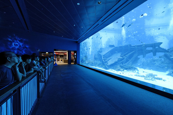 Cả thế giới đại dương rộng lớn nằm trong tầm mắt, mang đến cảm giác rất thực. 