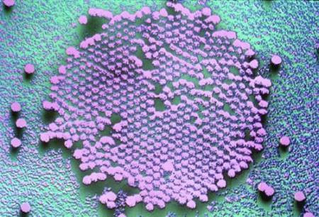 Ảnh: minh họa - Internet