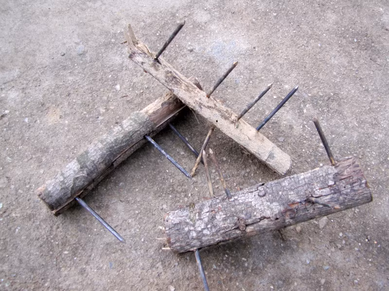 Nếu bị truy đuổi, chúng sẵn sàng bỏ xe và gỗ để tẩu thoát, hoặc chống trả liều lĩnh. Trong ảnh là đinh tặc được đóng đầy các khúc gỗ mà lâm tặc thường dùng làm vật cản đường truy đuổi của kiểm lâm