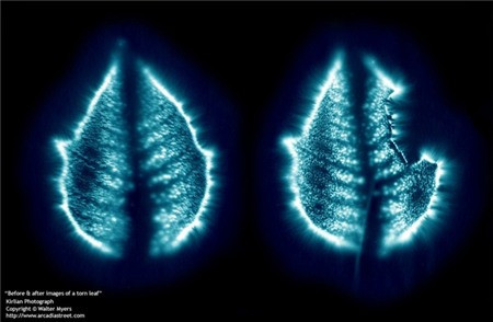 Giải mã phương pháp chụp ảnh linh hồn con người ảnh 2