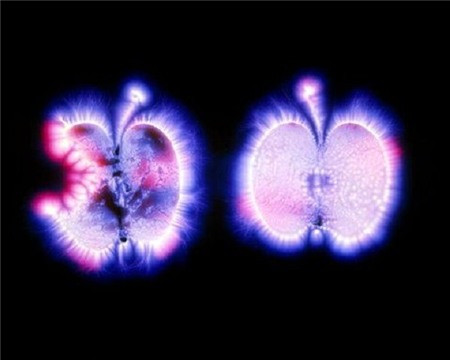 Giải mã phương pháp chụp ảnh linh hồn con người ảnh 5