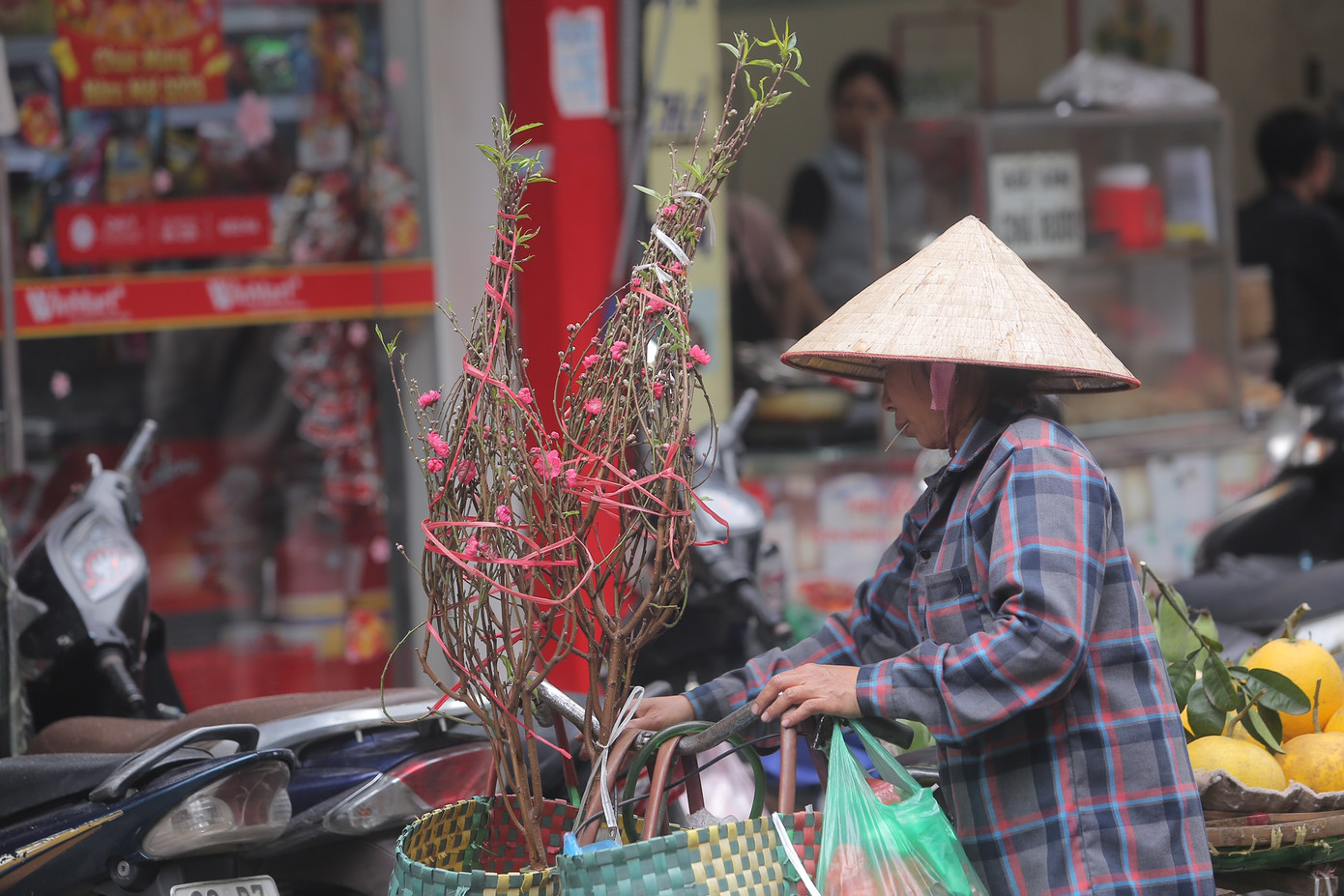 Những cành đào được bán rong với giá 100.000 - 120.000 đồng.