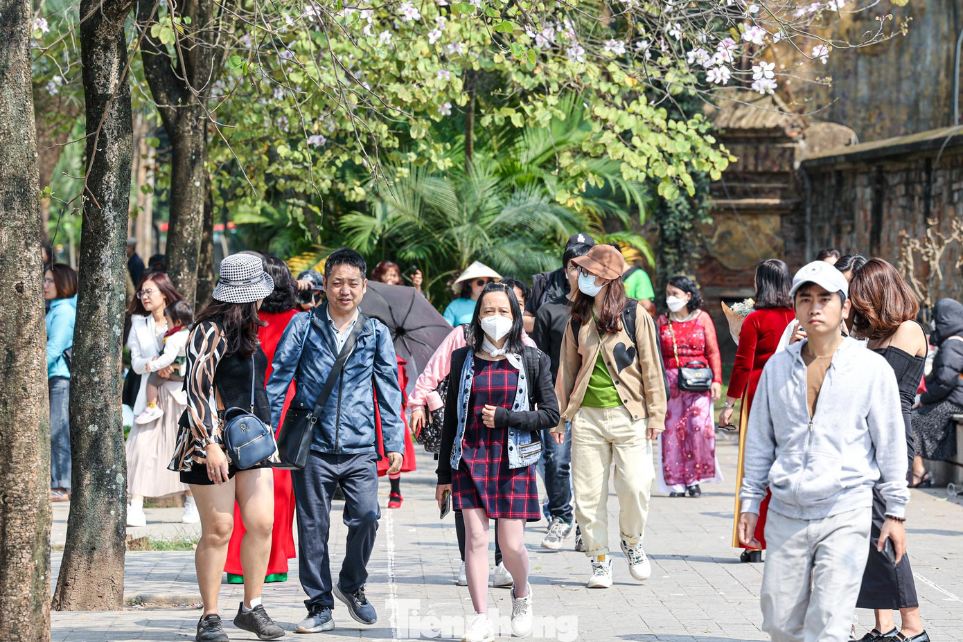 Dưới tiết trời dịu mát và đượm nắng vàng, loài hoa này tô thêm phần lãng mạn, nhiều người dân Thủ đô đổ xô đến khu vực trên để có thể chiêm ngưỡng, chụp ảnh với loài hoa này trong ngày cuối tuần. Dưới tiết trời dịu mát và đượm nắng vàng, loài hoa này tô thêm phần lãng mạn, nhiều người dân Thủ đô đổ xô đến khu vực trên để có thể chiêm ngưỡng, chụp ảnh với loài hoa này trong ngày cuối tuần.