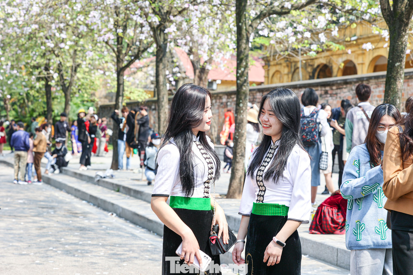 Thiếu nữ thả dáng với trang phục dân tộc Thái với loài hoa Tây Bắc này. Thiếu nữ thả dáng với trang phục dân tộc Thái với loài hoa Tây Bắc này.