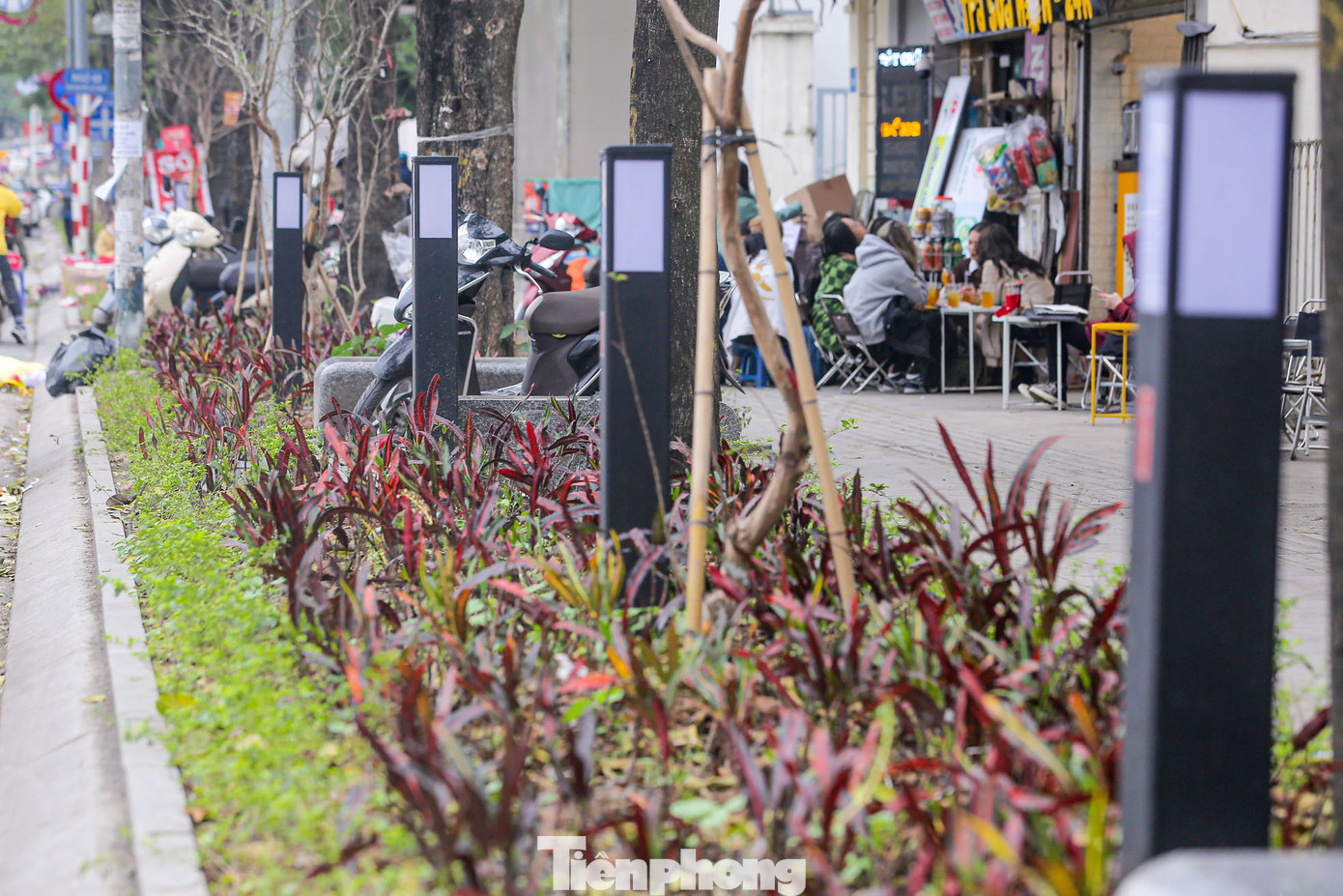 Bên cạnh ghế đá, đèn chiếu sáng hiện đại cũng được bố trí trên vỉa hè, phía dưới là hàng cỏ xanh mướt. Bên cạnh ghế đá, đèn chiếu sáng hiện đại cũng được bố trí trên vỉa hè, phía dưới là hàng cỏ xanh mướt.