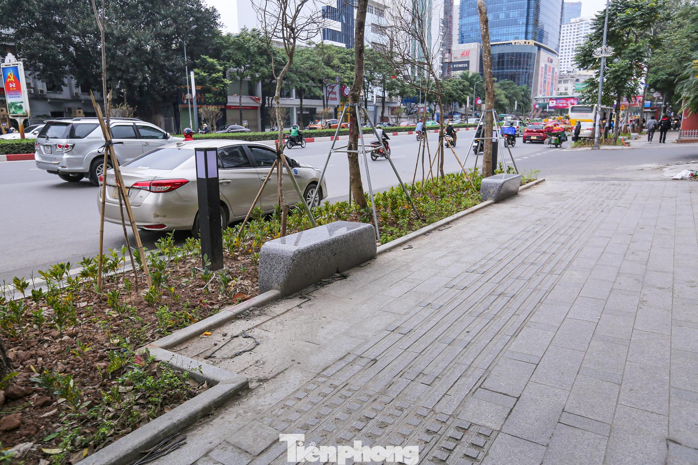 Tuy nhiên, đến đầu năm 2023, quận Đống Đa quyết định dừng chuyển 80 cây hoa sữa trên đường Nguyễn Chí Thanh. Tuy nhiên, đến đầu năm 2023, quận Đống Đa quyết định dừng chuyển 80 cây hoa sữa trên đường Nguyễn Chí Thanh.