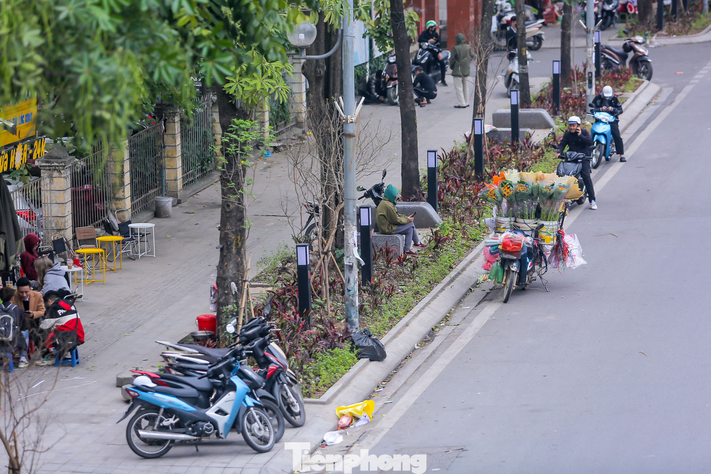 Ghế đá được lắp đặt ngay dưới những cây hoa sữa cổ thụ. Ghế đá được lắp đặt ngay dưới những cây hoa sữa cổ thụ.