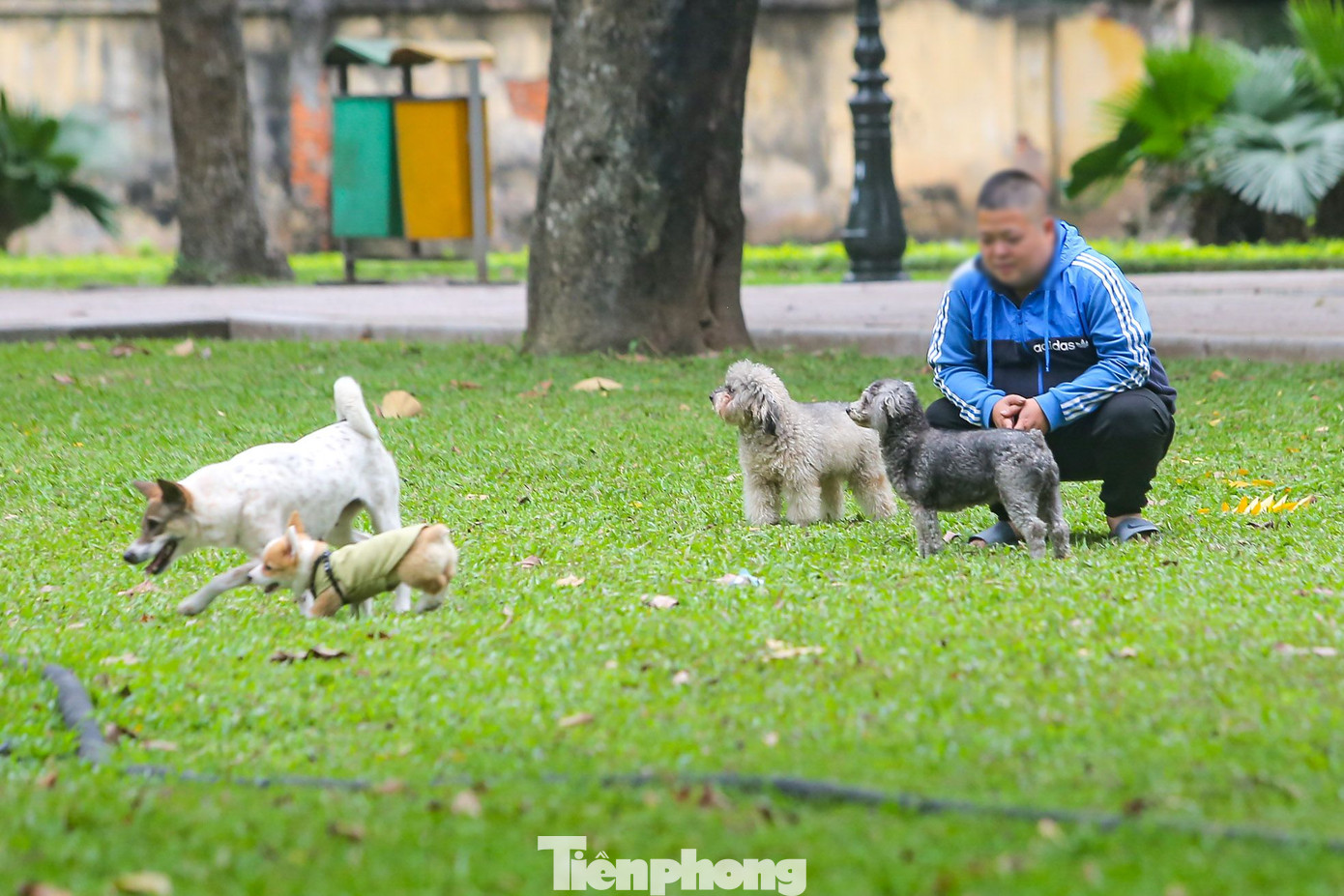 Hà Nội xác định mục tiêu trong giai đoạn 2022-2030 là quản lý trên 90% số hộ nuôi chó, mèo trên địa bàn; tỷ lệ tiêm vaccine phòng dại trên 90%; 100% quận, huyện, thị xã có điểm tiêm vaccine và huyết thanh phòng dại cho người; phấn đấu đến năm 2030 không có người tử vong vì bệnh dại.