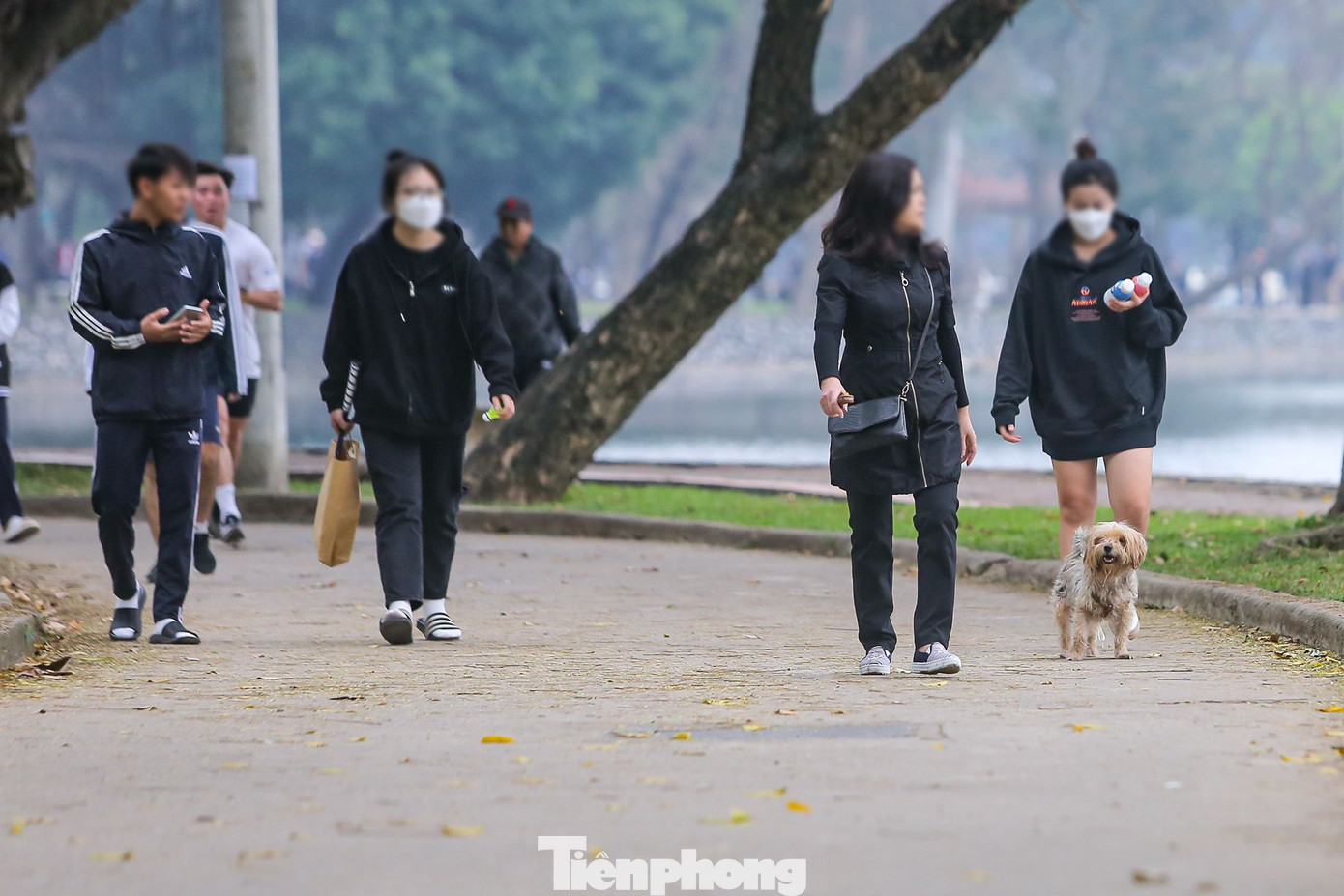 Trước đó, đầu năm 2022, Hà Nội lập gần 600 đội săn bắt chó thả rông trên địa bàn các quận huyện.