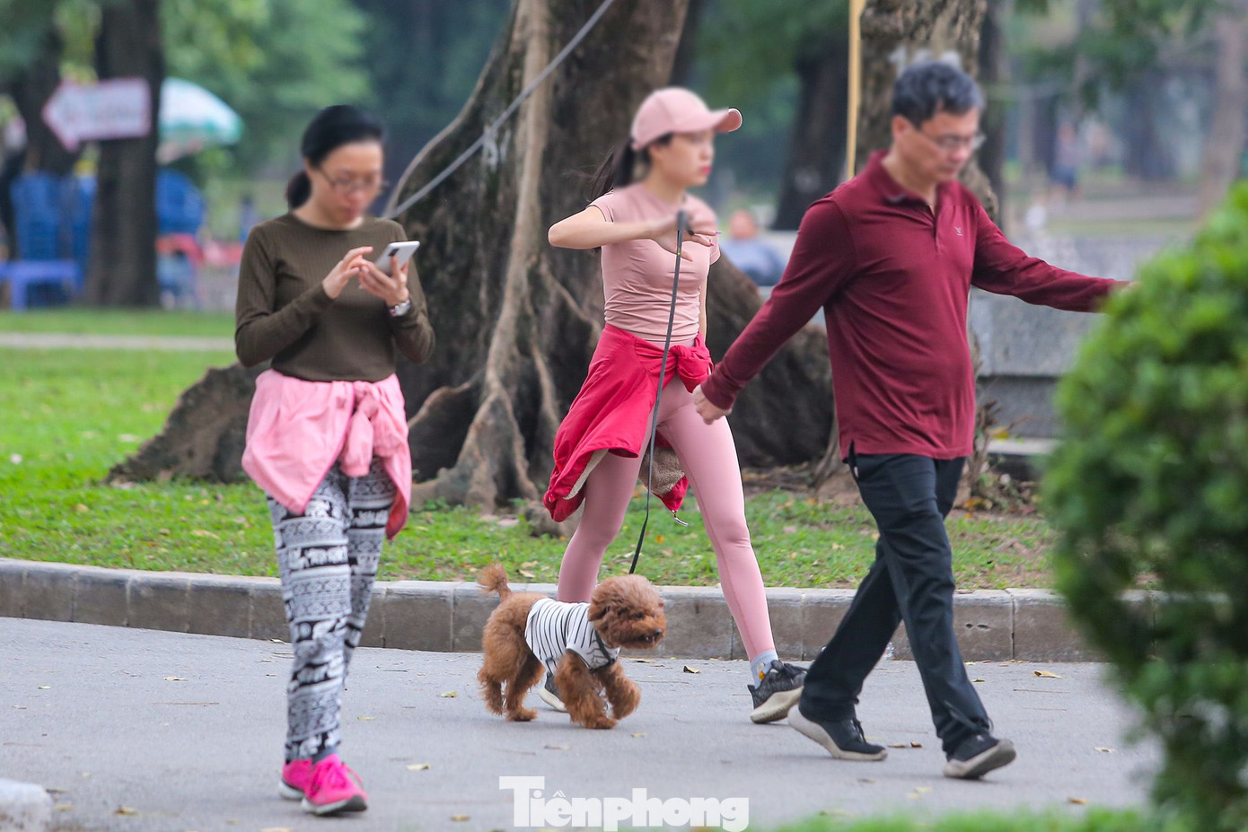 Mặc dù nhiều lần ra quân nhưng tình trạng chó thả rông vẫn tái diễn tại các khu vực công cộng ở Hà Nội.