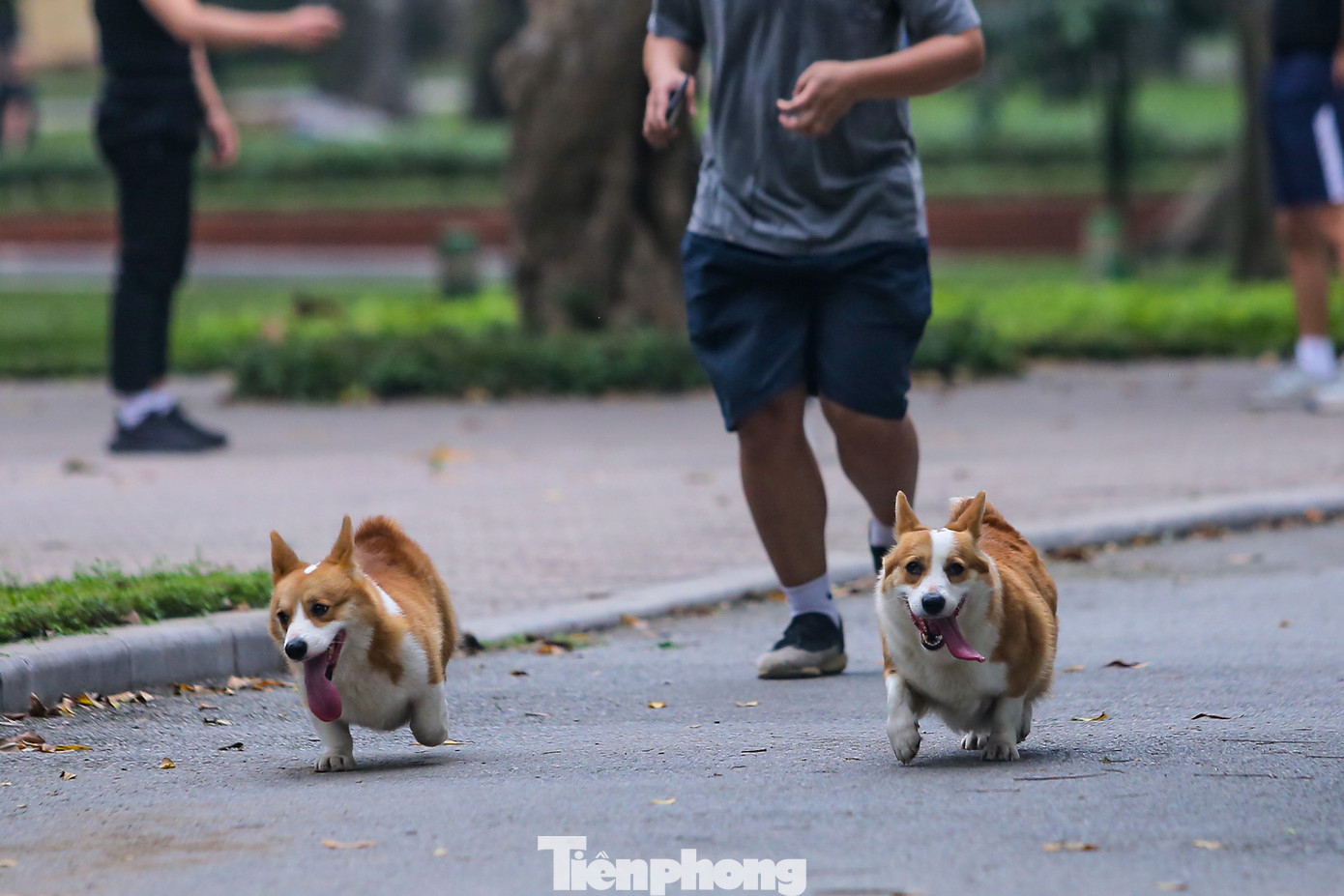 Nhiều nguy hiểm rình rập với trẻ nhỏ và người dân đang tập thể dục