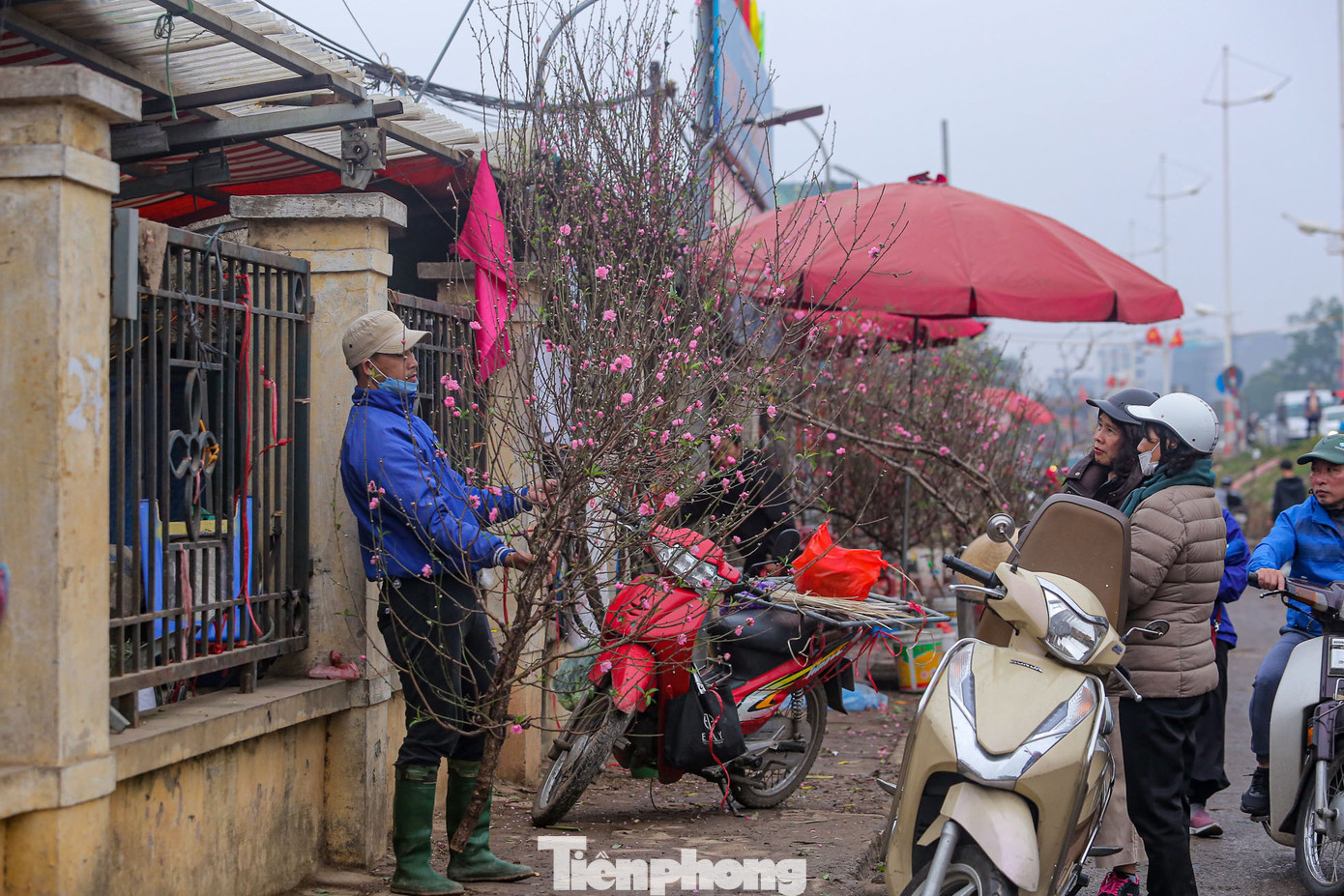 Mặc dù cuối vụ nhưng cành đào vẫn đa dạng các sản phẩm, hình dáng kích thước cho người tiêu dùng lựa chọn.