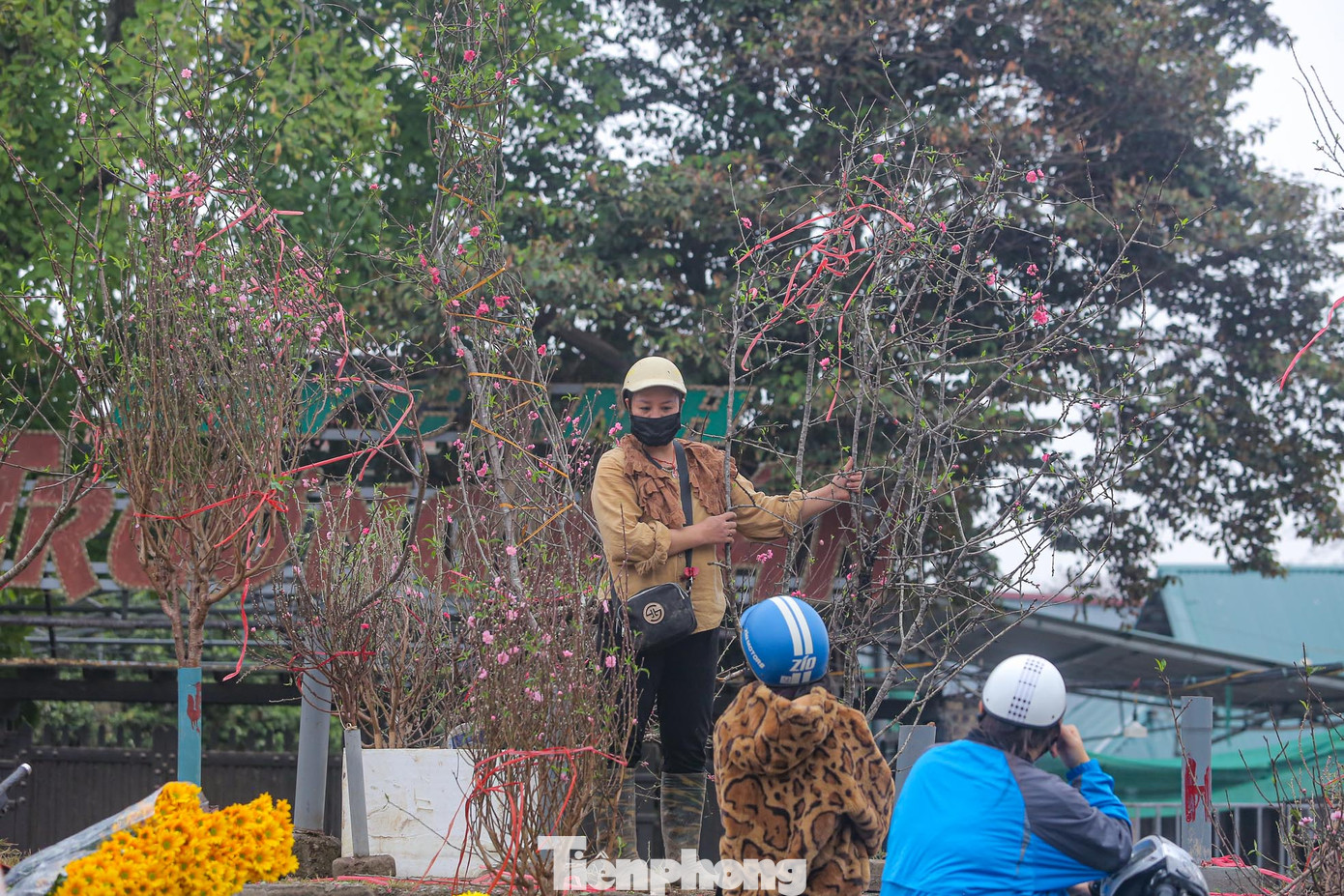 Chơi đào Rằm tháng Giêng từ lâu đã trở thành một nét đẹp trong văn hóa người Hà Nội.