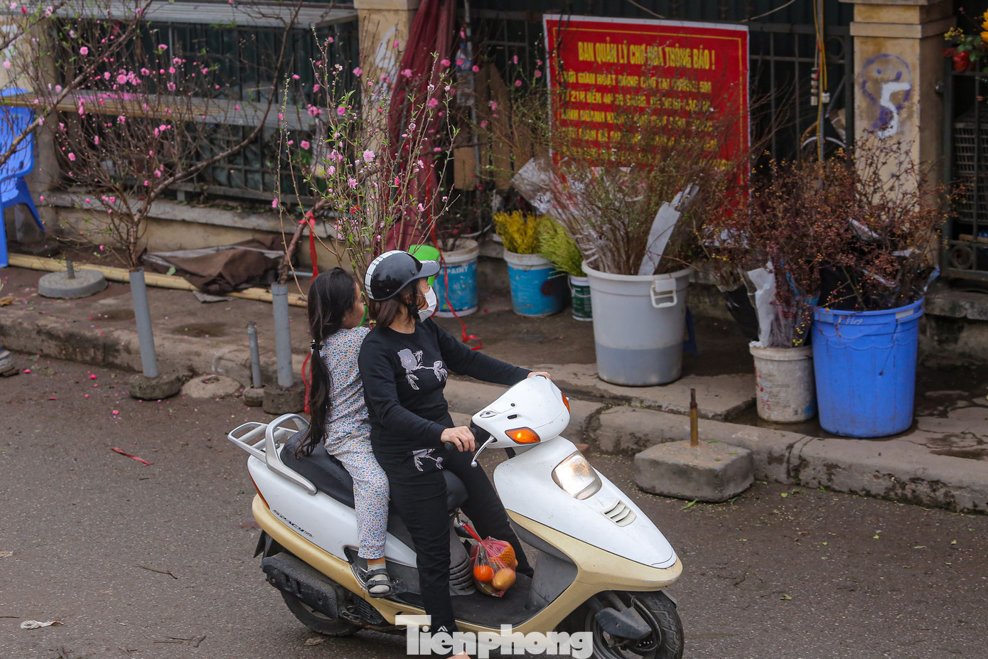 Xe chở hoa đào xuất hiện trên đường phố tạo nên một không gian ấm áp, sum vầy, mang nét đặc trưng của người Hà Nội.