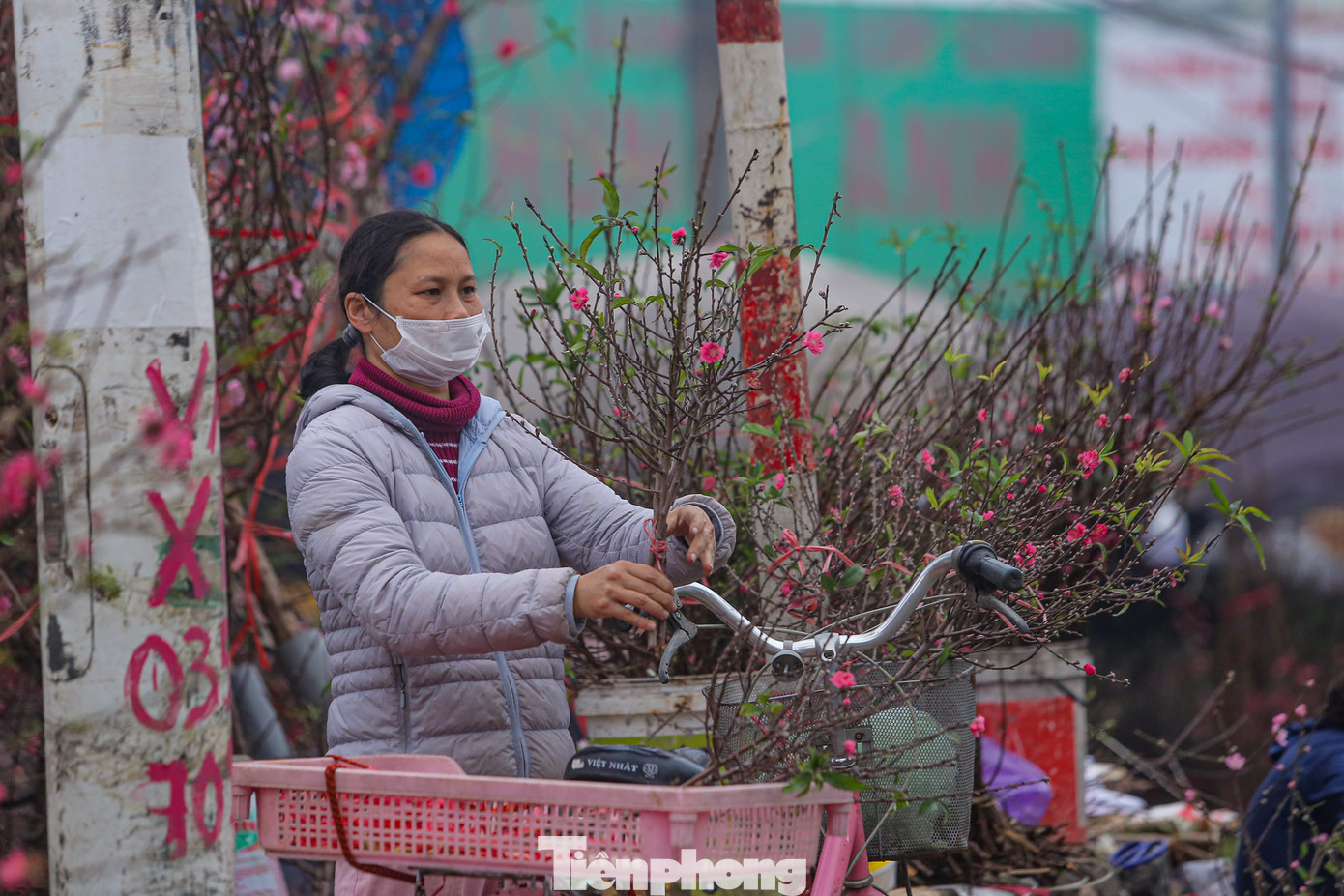 Cành đào tí hon và những bó đào dăm rất được ưa chuộng vào dịp cúng Rằm tháng Giêng.