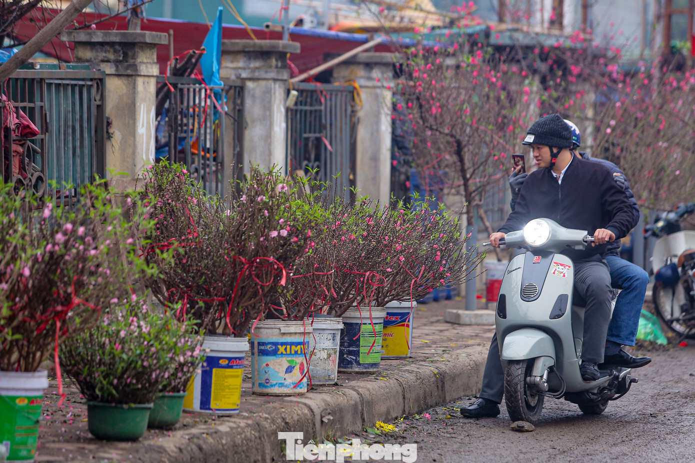 Ghi nhận tại các khu phố, khu chợ của Thủ đô, những cành đào lớn, nhỏ đang nở bung hoa được đưa xuống phố bày bán từ chợ hoa Quảng Bá tới những con phố Lạc Long Quân, Hàng Lược, Hàng Rươi… đều xuất hiện một lượng lớn cành đào để phục vụ nhu cầu của người mua.