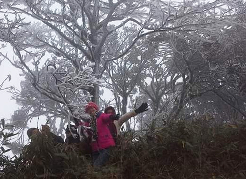 Băng giá phủ trắng nhiều khu vực phía Bắc ảnh 3