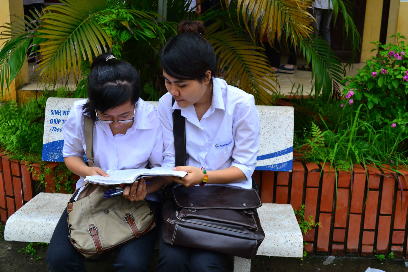 Chúng mình cùng cố gắng