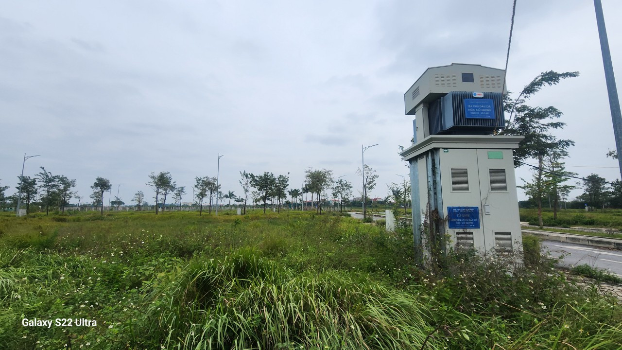 Hiện tại, bên trong dự án cỏ mọc um tùm