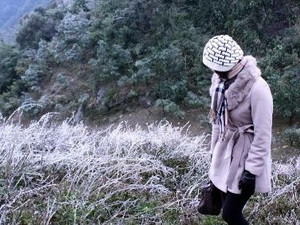 Ảnh minh họa. (Nguồn: Văn Phát/TTXVN). Ảnh minh họa. (Nguồn: Văn Phát/TTXVN)