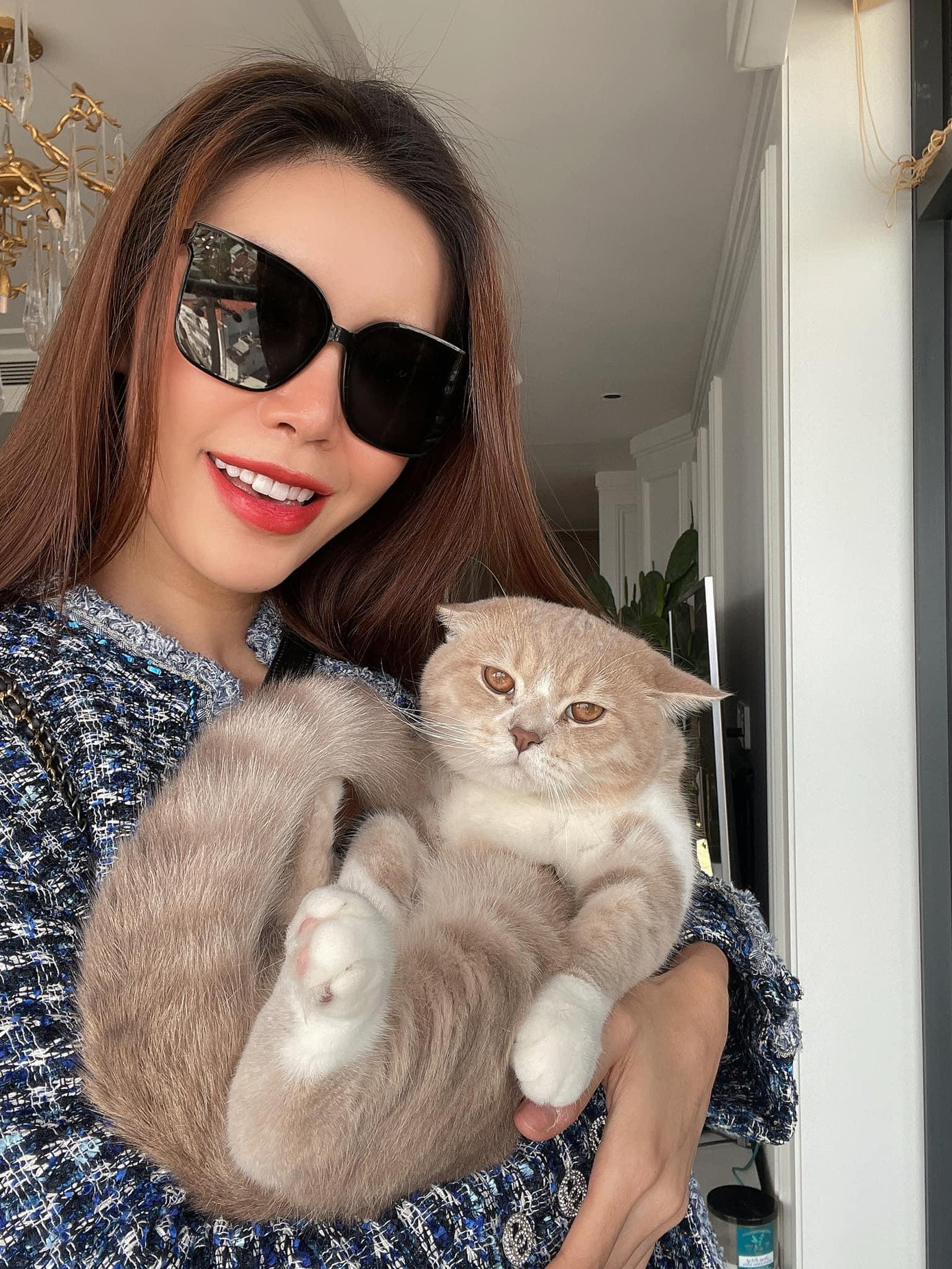 Cô còn cho cả chú mèo cưng 'lên sóng'. Cô còn cho cả chú mèo cưng 'lên sóng'.