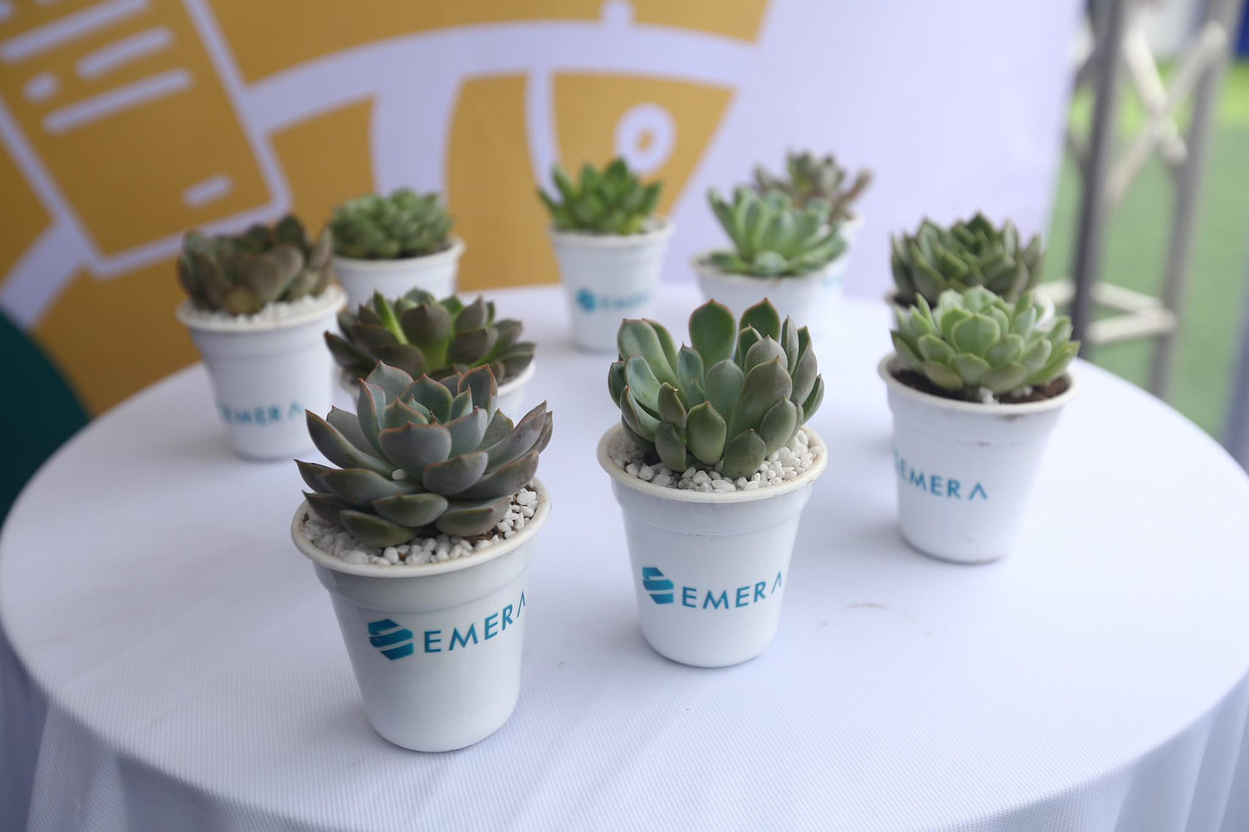 Emera chuyên cung cấp các giải pháp quà tặng chất lượng cao, được tư vấn, thiết kế riêng cho doanh nghiệp, tổ chức để quảng bá hình ảnh và thương hiệu. Đến gian hàng, khách hàng được giới thiệu các sản phẩm độc đáo như những hộp quà thiết kế kỳ công, lá bồ đề, đá phong thủy...