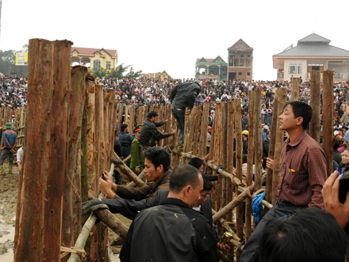 Cả bên trong hàng rào cấm
