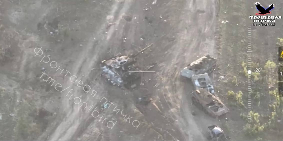 Ảnh: Telegram Ảnh: Telegram