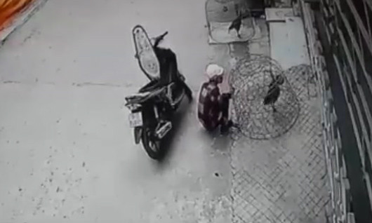 10 video ‘hot’: Thanh niên trộm gà chọi nhét vào cốp xe máy ảnh 1