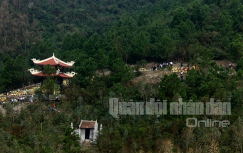 Những tán thông xanh rợp mát nơi Đại tướng an nghỉ vĩnh hằng