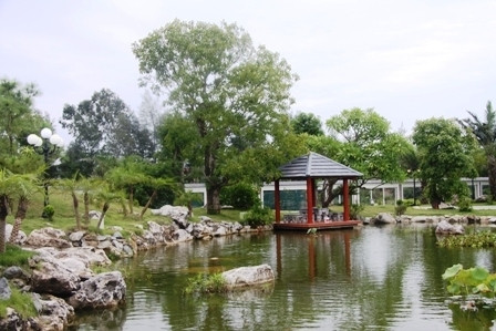 Không gian xanh - sạch là niềm mơ ước trong cuộc sống của mỗi gia đình Việt. Cây cảnh có vị trí quan trọng trong những góc sống này. Không gian xanh - sạch là niềm mơ ước trong cuộc sống của mỗi gia đình Việt. Cây cảnh có vị trí quan trọng trong những góc sống này