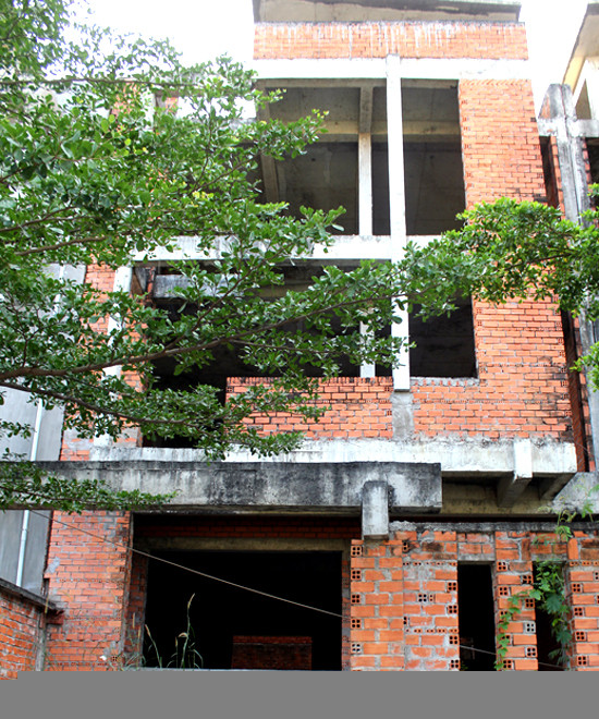 Hàng trăm biệt thự bỏ hoang gần chục năm ở Sài Gòn ảnh 3