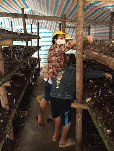 Nhận biết nấm tươi an toàn qua cách bảo quản? ảnh 1