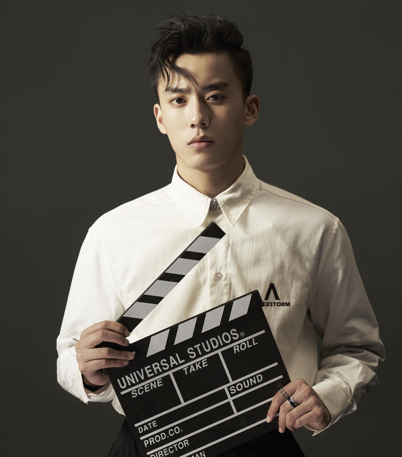 Triệu Hoa Vi được kỳ vọng thể hiện tốt hai quãng đời của nhân vật Dương Quá, khi anh còn non nớt lúc mới gặp Tiểu Long Nữ và khi anh đã trải qua sóng gió, bị mất một cánh tay, trở thành đại hiệp chân chính.