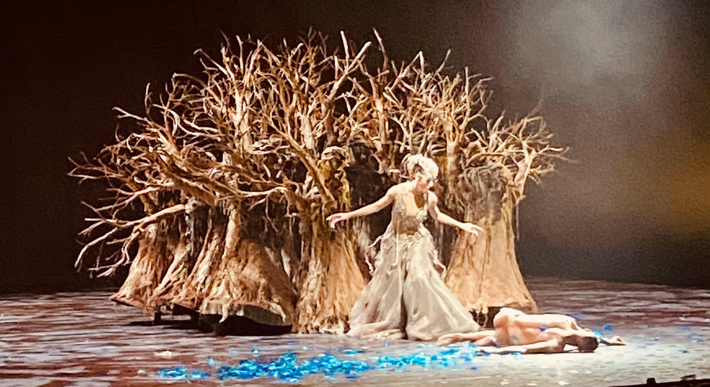 Dương Lệ Bình khiến khán giả thán phục với những điệu múa uyển chuyển ở tuổi 64.