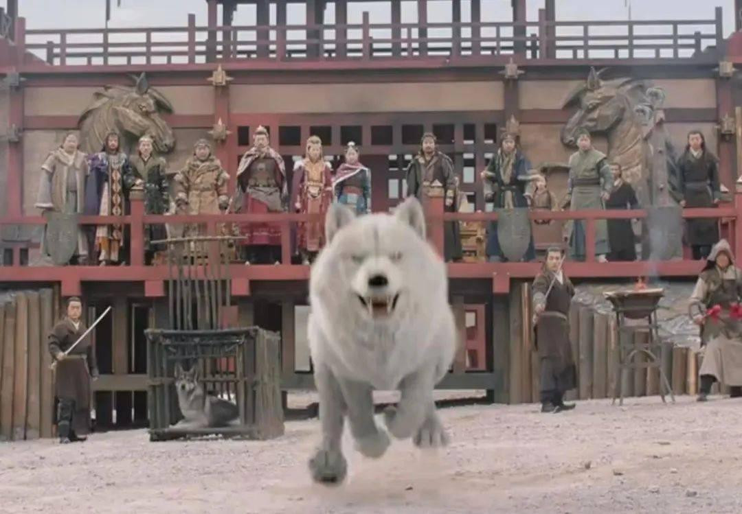 Kỹ xảo của phim do Bành Tiểu Nhiễm và Phùng Thiệu Phong đóng chính bị đánh giá kém. Kỹ xảo của phim do Bành Tiểu Nhiễm và Phùng Thiệu Phong đóng chính bị đánh giá kém.