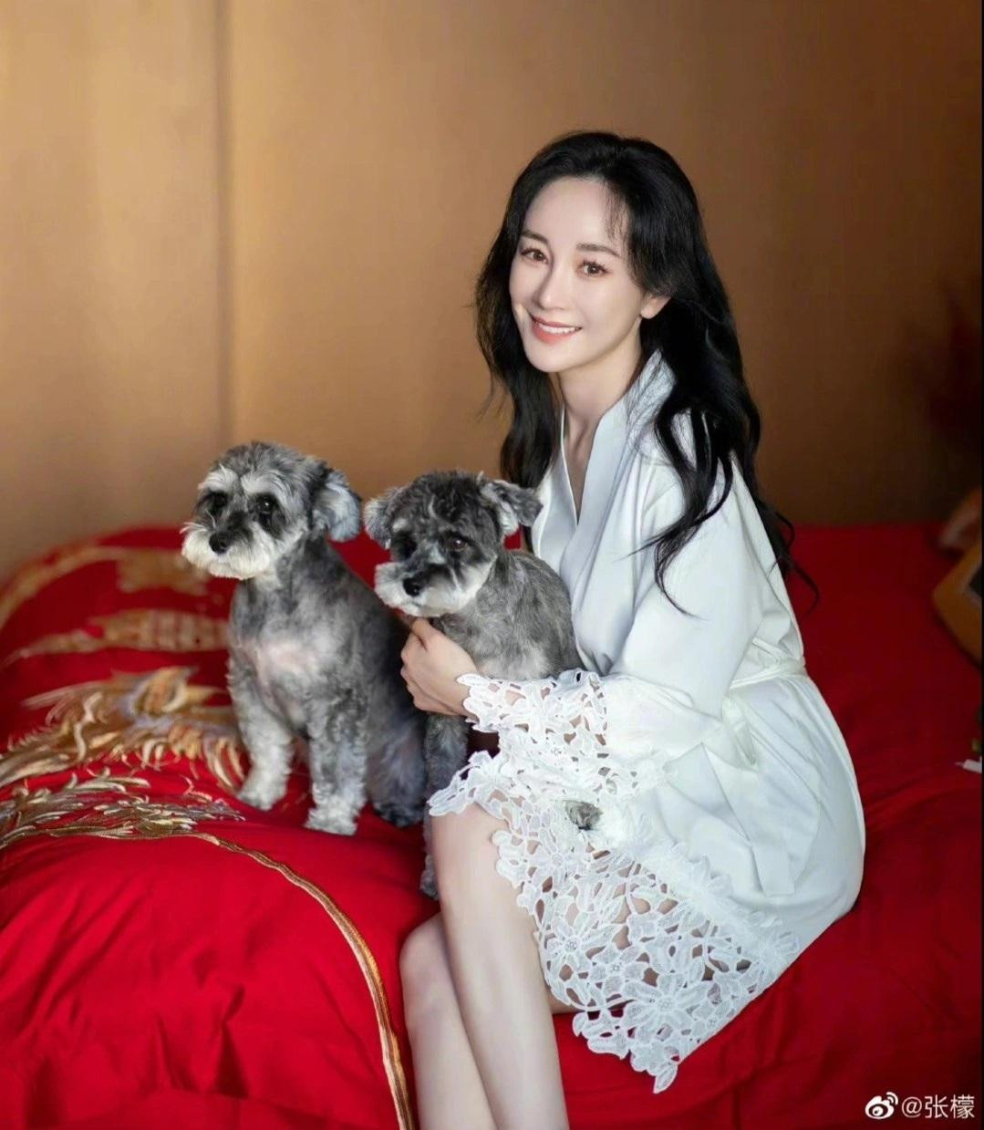 Tuy nhiên, nữ diễn viên có quyết định sai lầm khi đi chỉnh sửa nhan sắc. Cô bị di chứng thẩm mỹ dẫn tới gương mặt căng phồng, cứng đờ. Từ đó, sự nghiệp của Trương Mông cũng dần xuống dốc. Mới đây, Trương Mông đóng chính trong phim Tân họa bì nhưng tác phẩm bị chê có chất lượng thấp, lạm dụng cảnh gợi cảm.