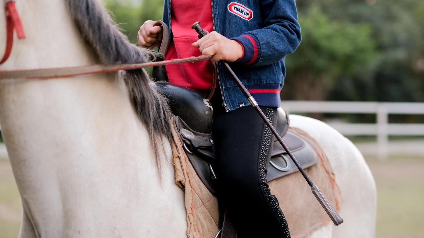 Roi da gần như chỉ để "làm cảnh" trong quá trình tập luyện. Khác với suy nghĩ của nhiều người, tốc độ không phải điều tiên quyết khi cưỡi ngựa, mà là việc thực hiện các động tác linh hoạt và đúng kỹ thuật.