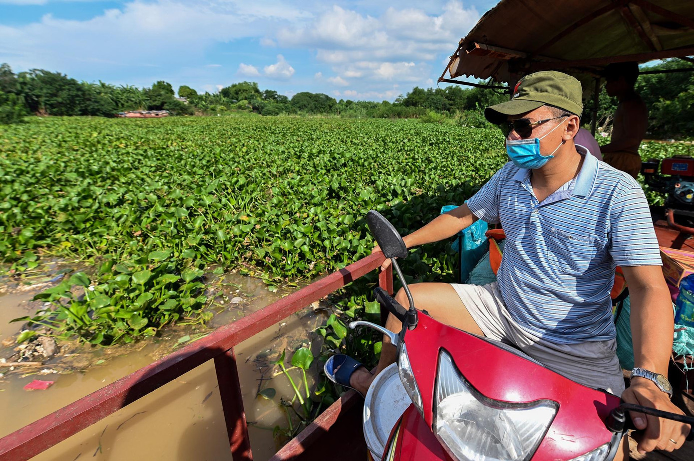Nước từ đầu nguồn đổ về kéo theo nhiều bèo, rác phủ kín mặt nước. Nước từ đầu nguồn đổ về kéo theo nhiều bèo, rác phủ kín mặt nước.
