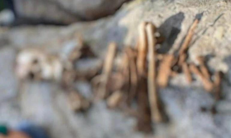 Bộ xương người cơ quan chức năng thu gom và sắp xếp lại (Ảnh: Công an huyện Thuận Nam).